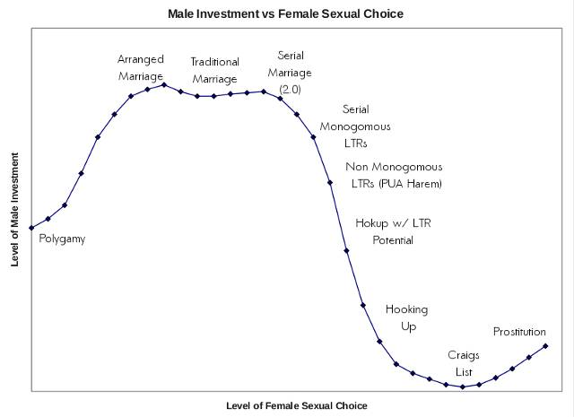 Romance as a form of male investment.