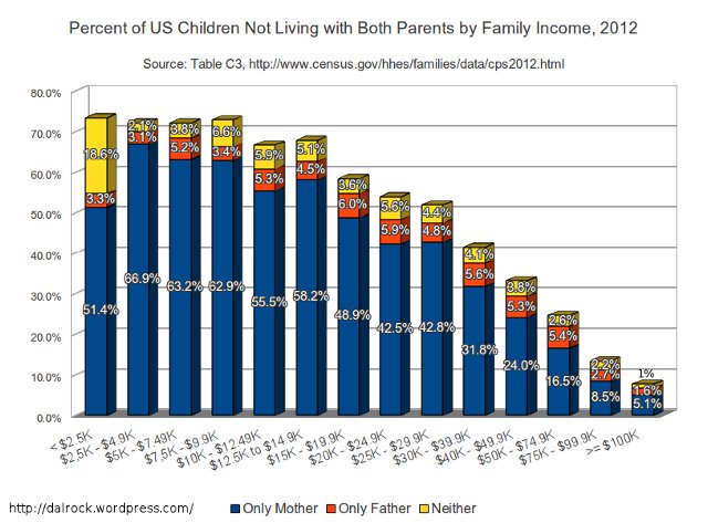 Custody Demographics