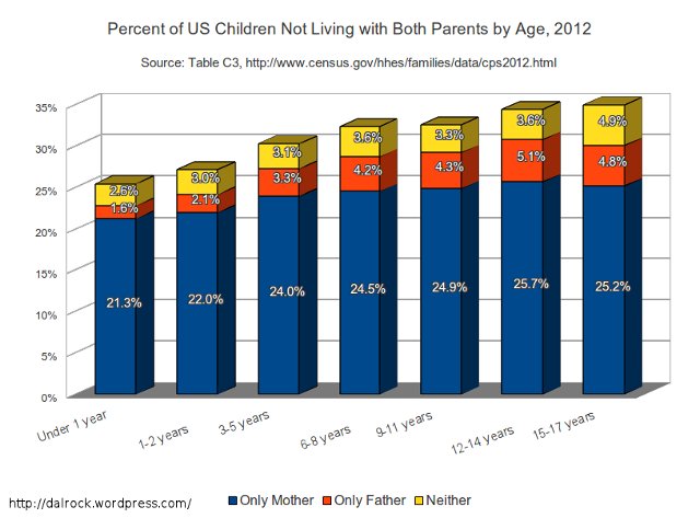 Custody Demographics