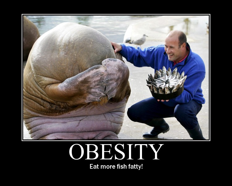 3 Reasons Why America Can’t Afford Obesity