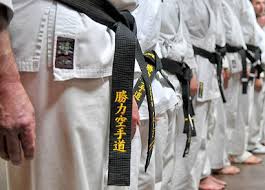 How To Spot And Avoid A McDojo/Belt Factory