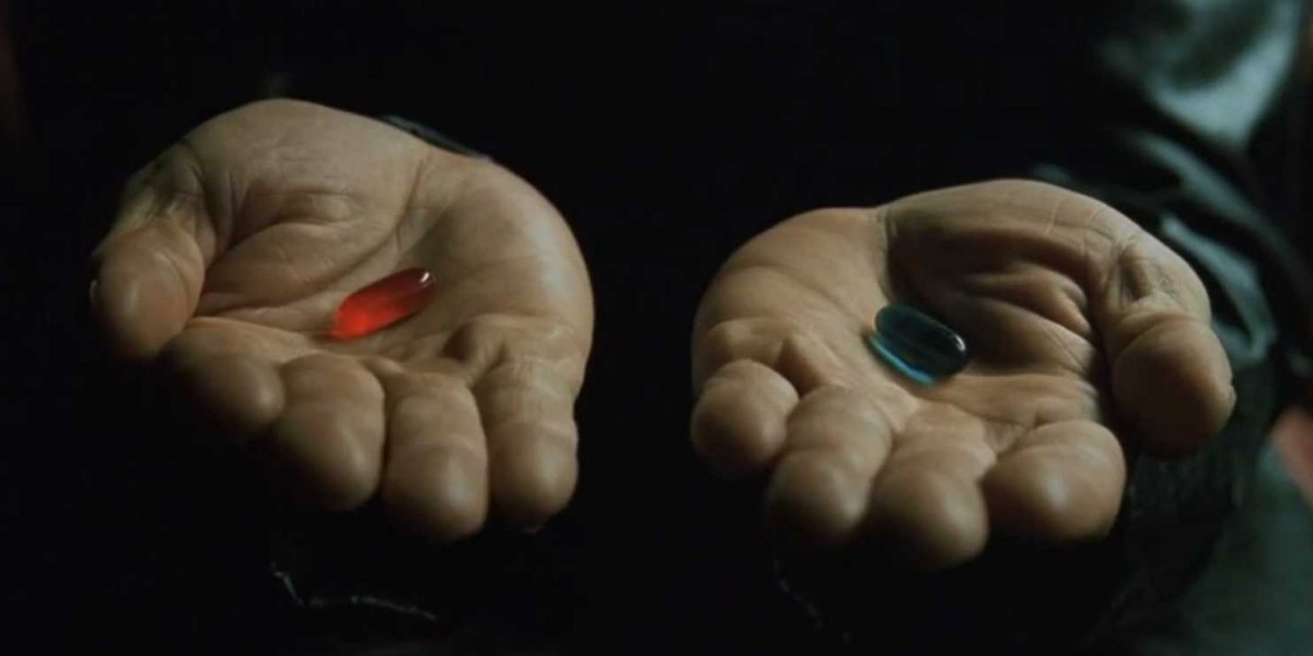 How Your Life Can Change In One Year After Swallowing The Red Pill