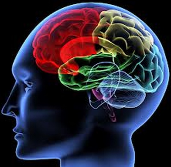 Differences In IQ Between Men And Women Can No Longer Be Ignored