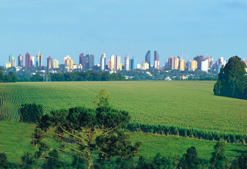 A Brazilian Man Talks About Game, Social Media, And How His Country Is Changing