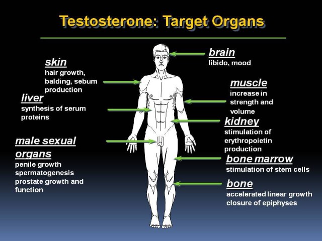 5 Ways To Boost Your Testosterone