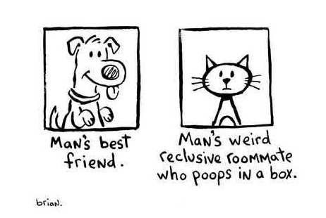 Why Women Are Like Cats And Men Are Like Dogs