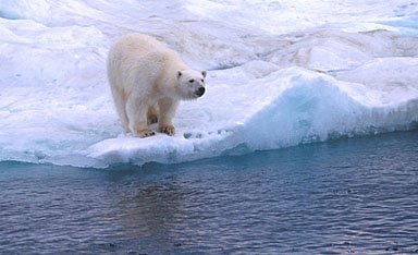 Adrift In The Arctic: The Incredible Story Of Bruce Gordon