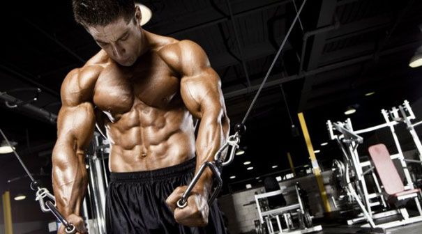 The Most Efficient Rep Range To Build Muscle