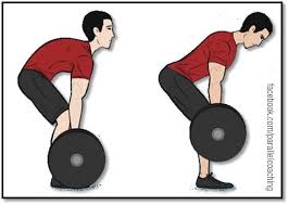 A Beginner’s Guide To Breaking Bodybuilding Plateaus