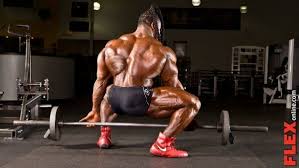 Bodybuilding Alternatives To The Deadlift