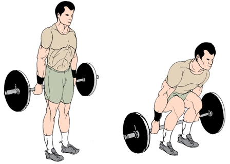 Bodybuilding Alternatives To The Deadlift