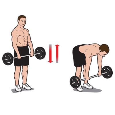 Bodybuilding Alternatives To The Deadlift