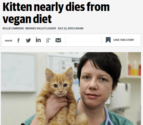 How The Vegan Cat Principle Shows The Toxic SJW Mindset