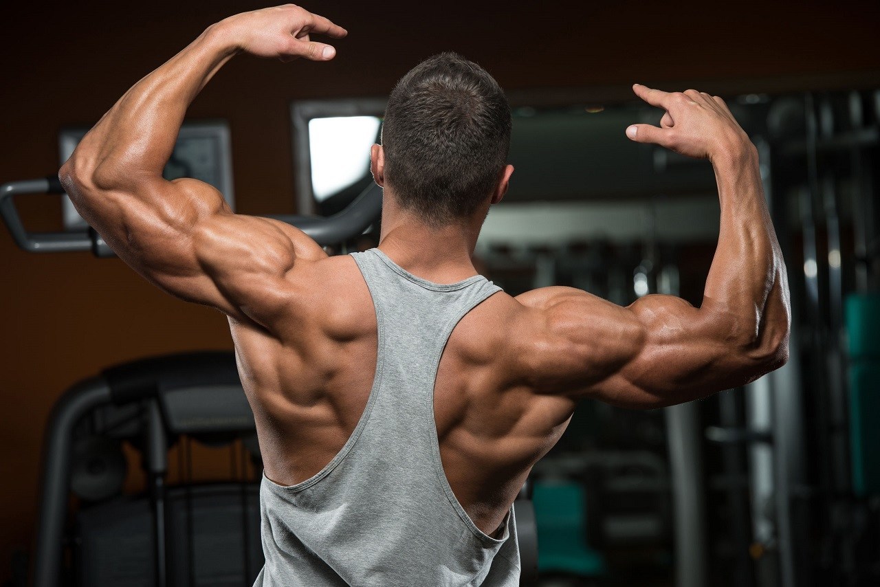 6 Tips To Build More Muscle During Your Workouts