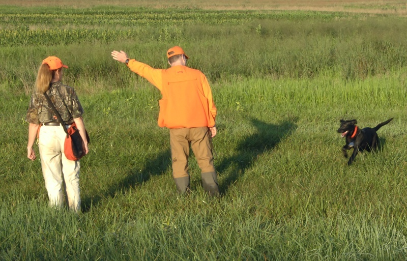 What I Learned About Human Nature From One Year Of Gun Dog Training