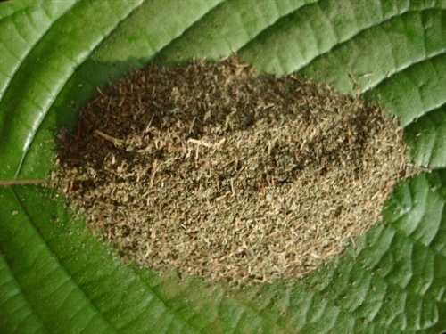 Why You Should Consider Adding Kratom To Your Daily Regimen