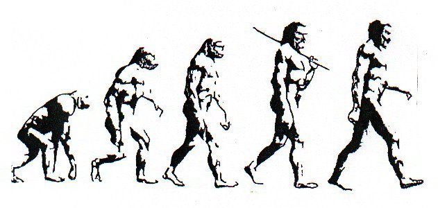 The Theory Of Evolution Does Not Apply To Modern Human Beings