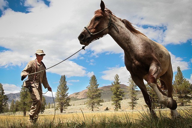 Behave With Girls As You Would With Horses