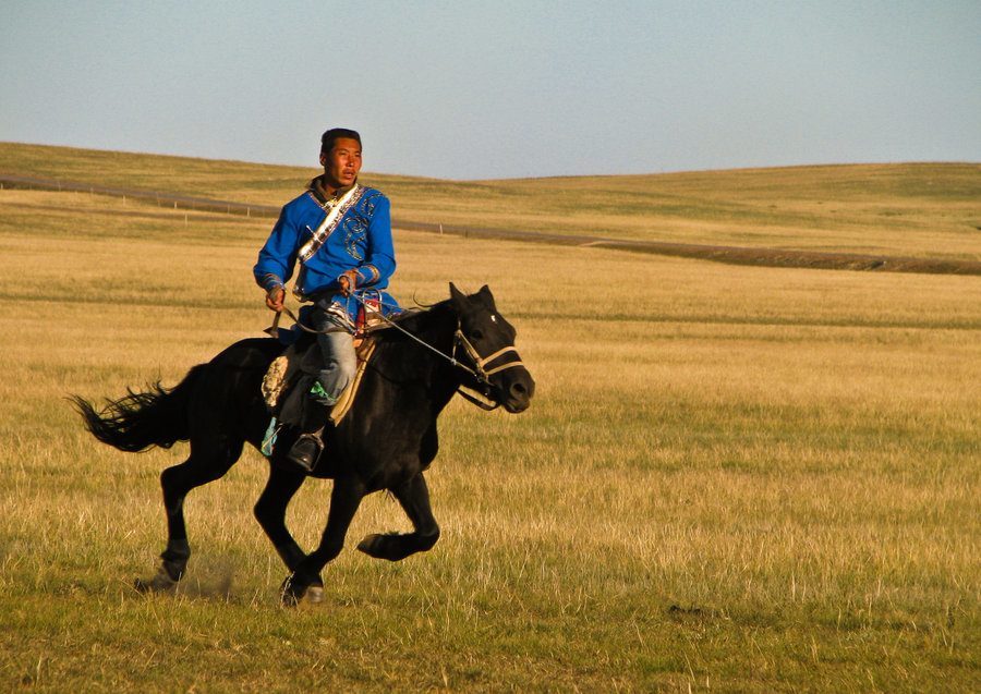 Behave With Girls As You Would With Horses