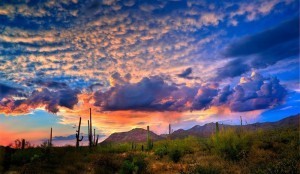 A Brief Introduction To The City Of Tucson, Arizona