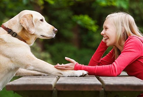 10 Things My Dog Taught Me About Women