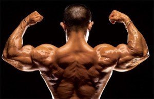 The Ultimate Guide To Building Muscle: Genetics And Training