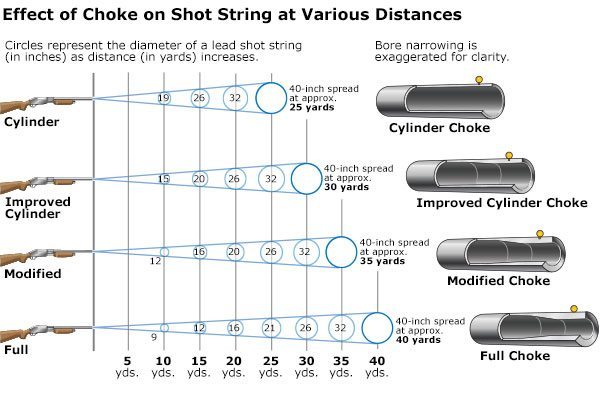 How To Choose, Buy, And Shoot A Shotgun