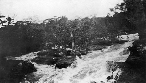 How Theodore Roosevelt Almost Lost His Life On The Amazonian River Of Doubt