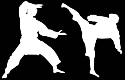 How To Choose A Style Of Martial Art To Study
