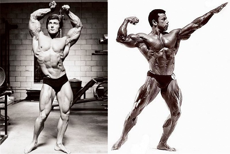 The Ultimate Guide To Muscle: Supplementation