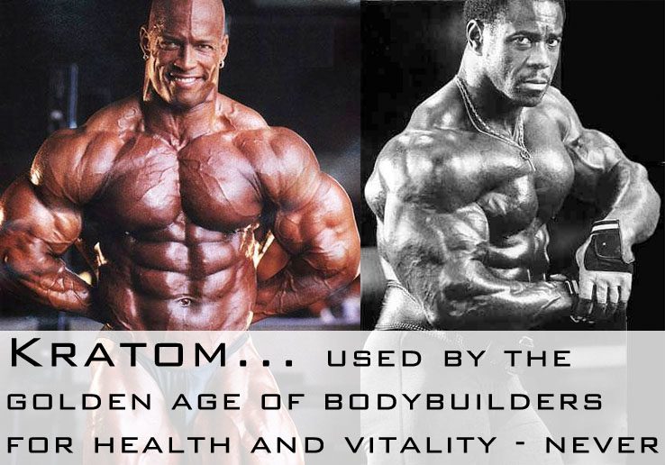 The Ultimate Guide To Muscle: Supplementation