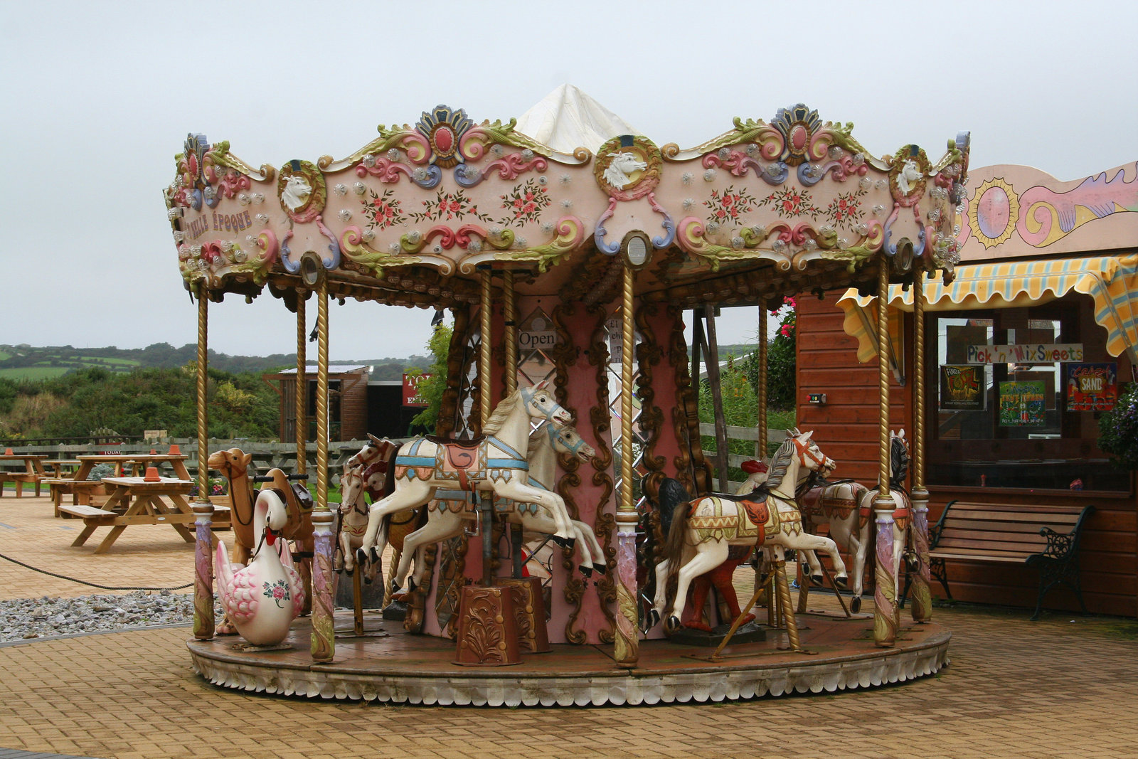 The True Story Of A Carousel-Riding Military Wife