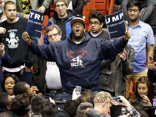 Australian Government Funds Degenerates Who Come To America To Steal Donald Trump Signs