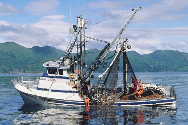 How To Become A Commercial Fisherman