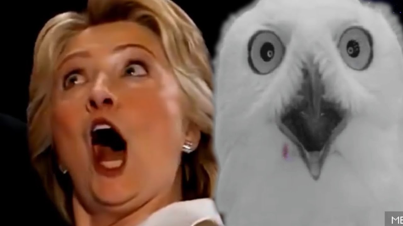 8 Images That Hillary Clinton Does Not Want You To See