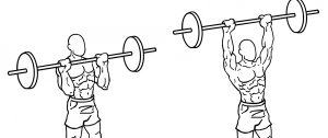 A Guide To Both Types Of Overhead Press