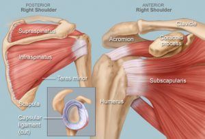 4 Ways To Improve Shoulder Mobility