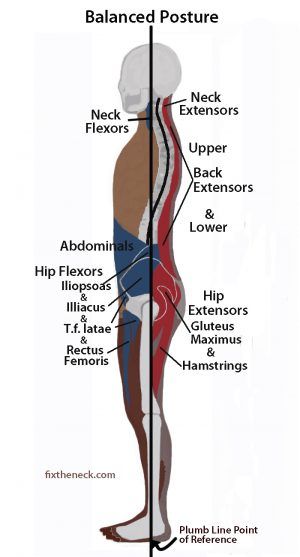 Why You Likely Have Bad Posture