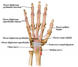 One Simple Trick To Help Your Calisthenic Workouts