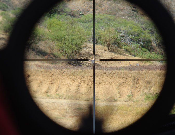 Weapon Ballistics: How To Make A Shot At Long Range