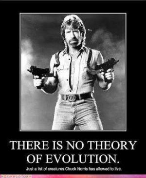 Why Chuck Norris Is Worthy Of Praise Rather Than Parody