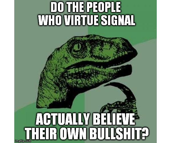 What Is Virtue Signalling?