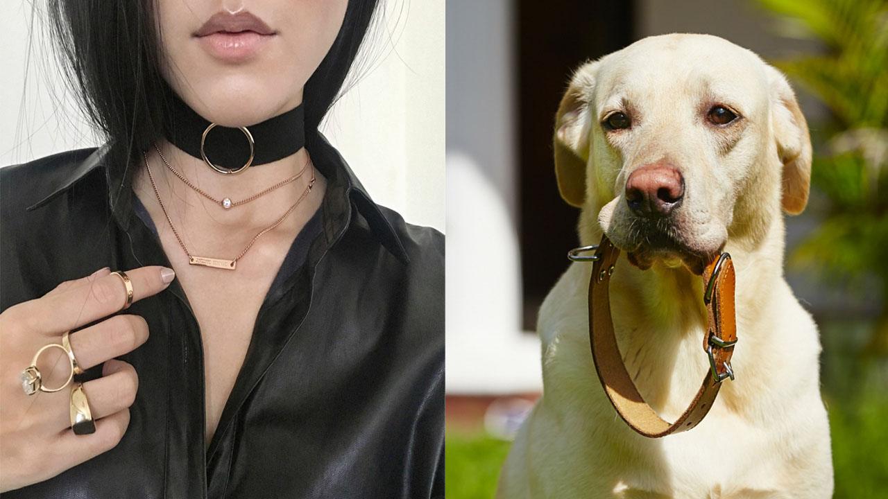 Do Girls Who Wear Chokers Want To Be Treated Like Dogs?