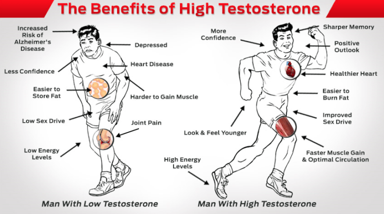 The Decline In Testosterone Is Destroying The Basis Of Masculinity