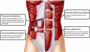 The Thrust Is A Must (The Importance Of Core Strength)