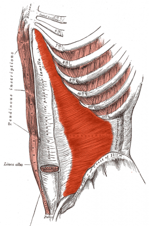 The Thrust Is A Must (The Importance Of Core Strength)