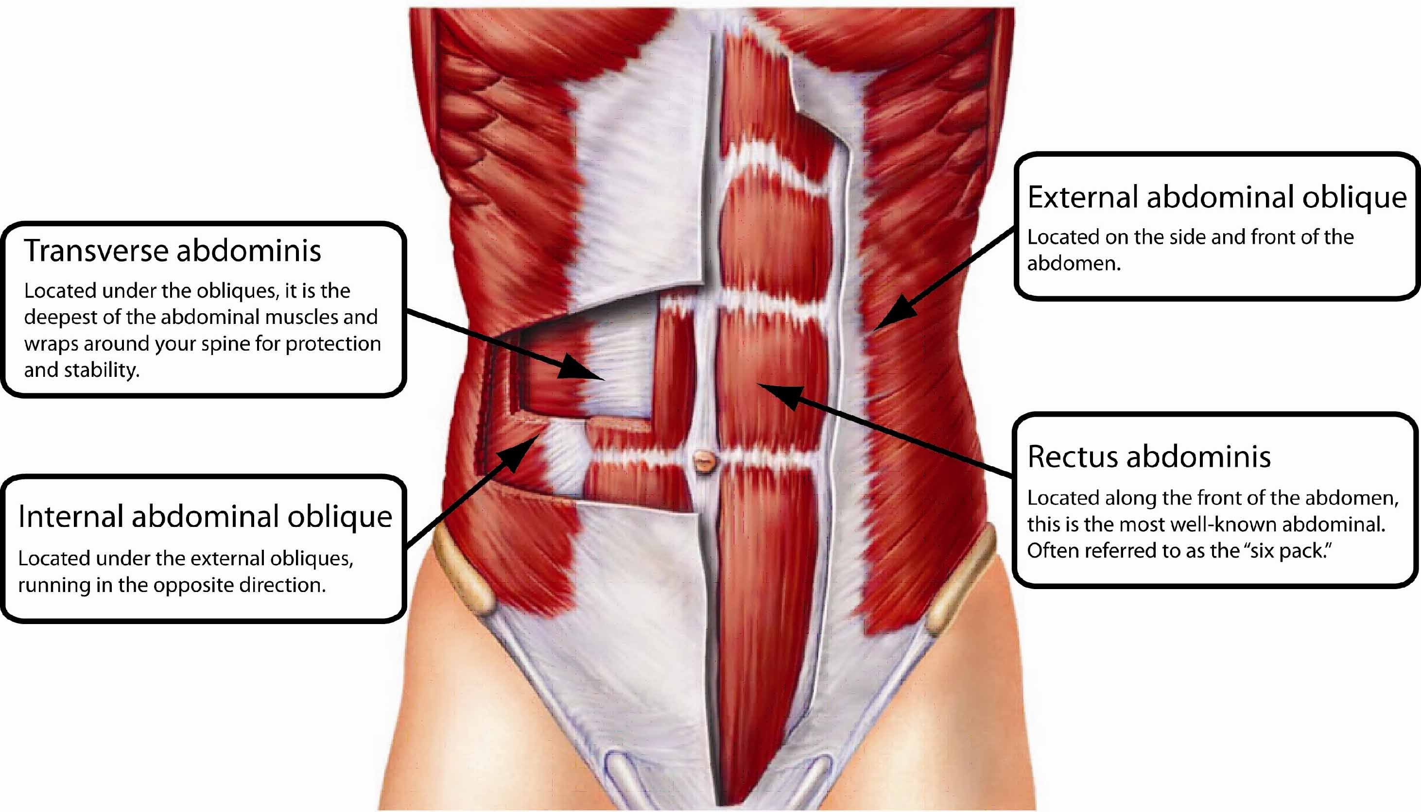 A Regimen For Recovering Injuries To Your Core