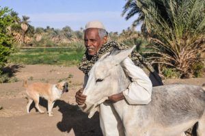 The Ancient Egyptian Story That Planted The Seed Of “Social Justice”