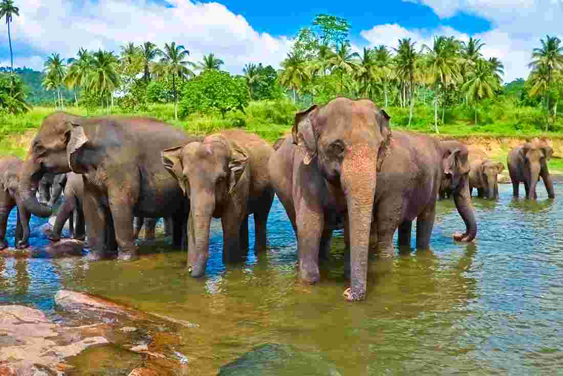 5 Reasons You Should Maybe Visit Sri Lanka