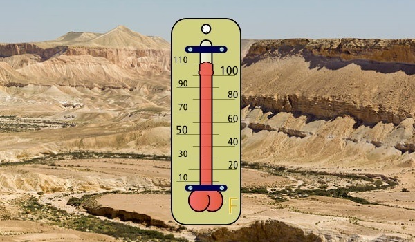 Is Your Penis Responsible For Global Warming?